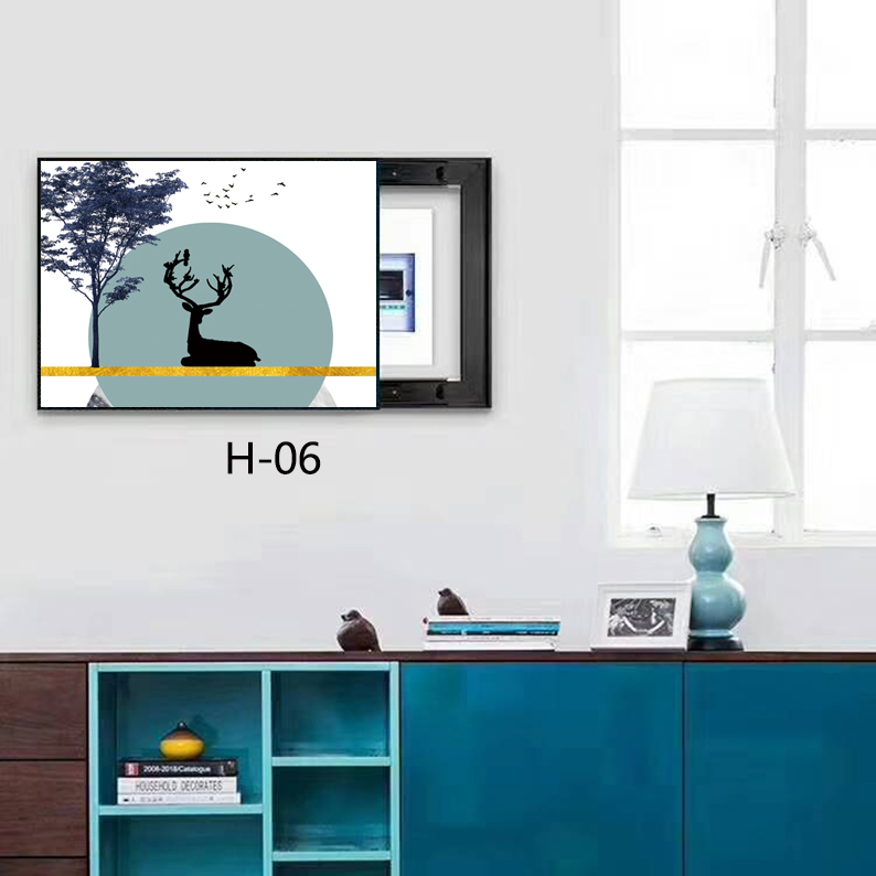 H-06